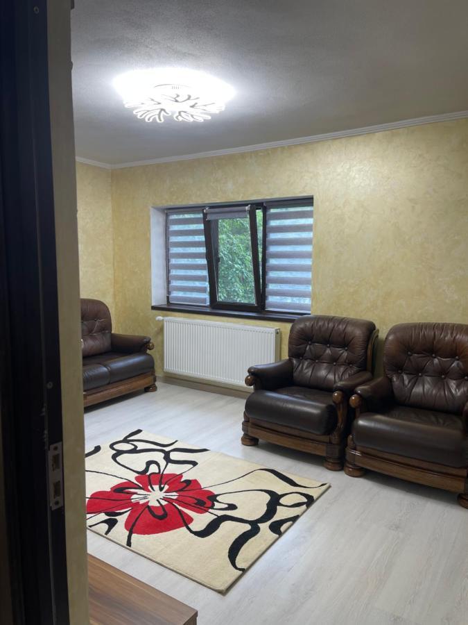 Guest House Târgu Jiu Extérieur photo