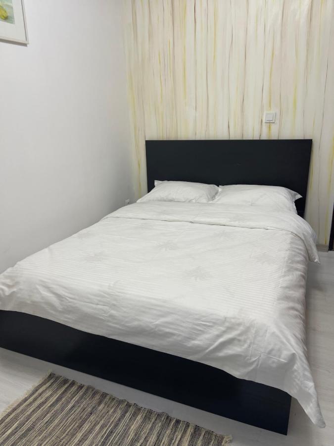 Guest House Târgu Jiu Extérieur photo